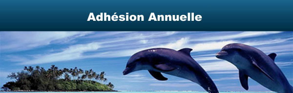 Adhésion annuelle à La Dolphin Connection