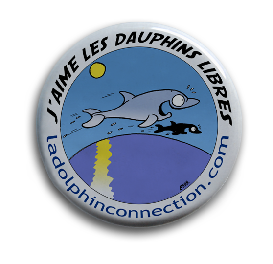 Badge J'aime les dauphins libres